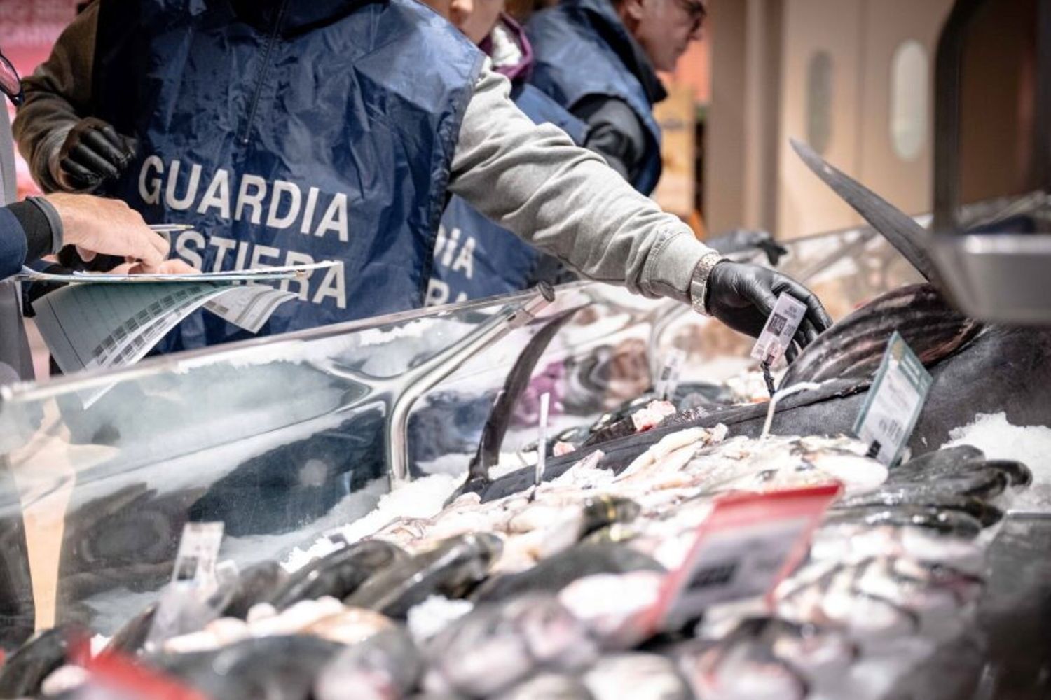 Controlli del pesce nei mercati