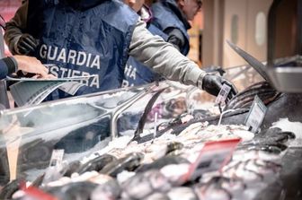 Controlli del pesce nei mercati