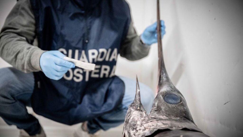 Controlli del pesce nei mercati