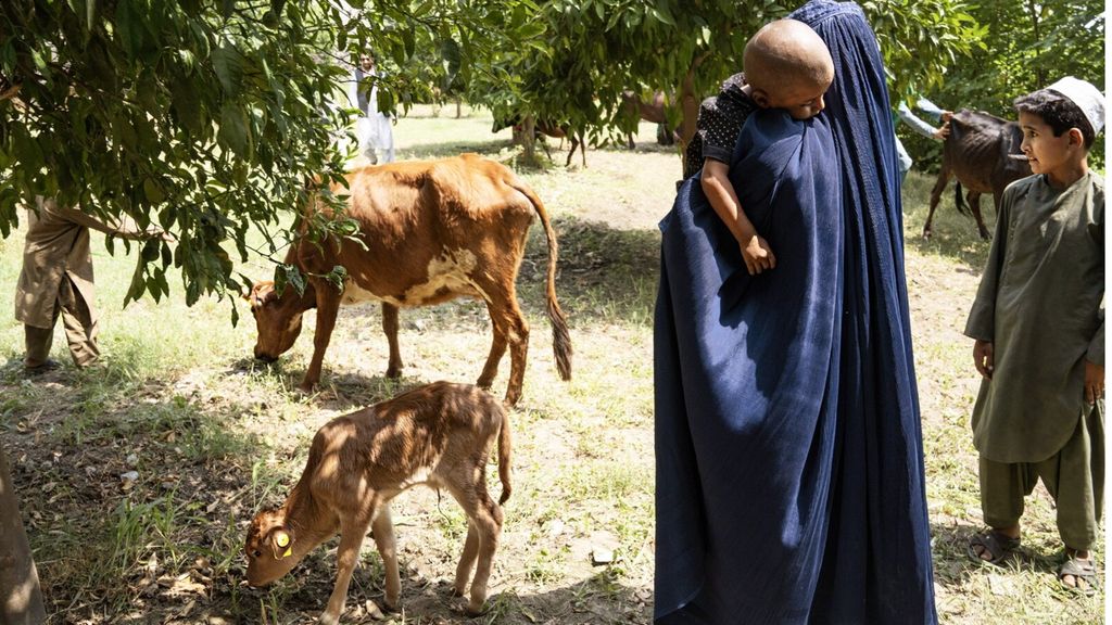 En Afghanistan le risque fait partie du jeu, "s’adapter pour construire l’avenir"