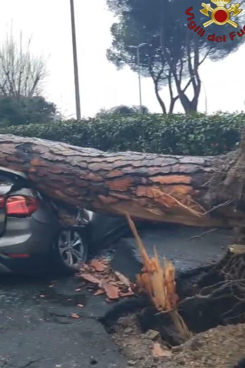 La caduta di un albero in via Cassia, a Roma