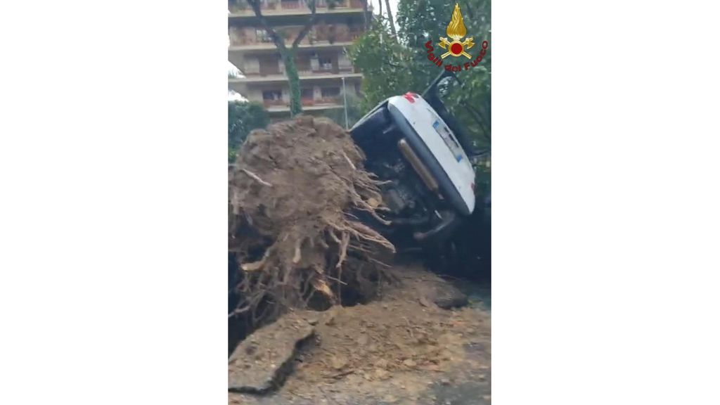 Auto danneggiata dalla caduta dell'albero in via Cassia 952