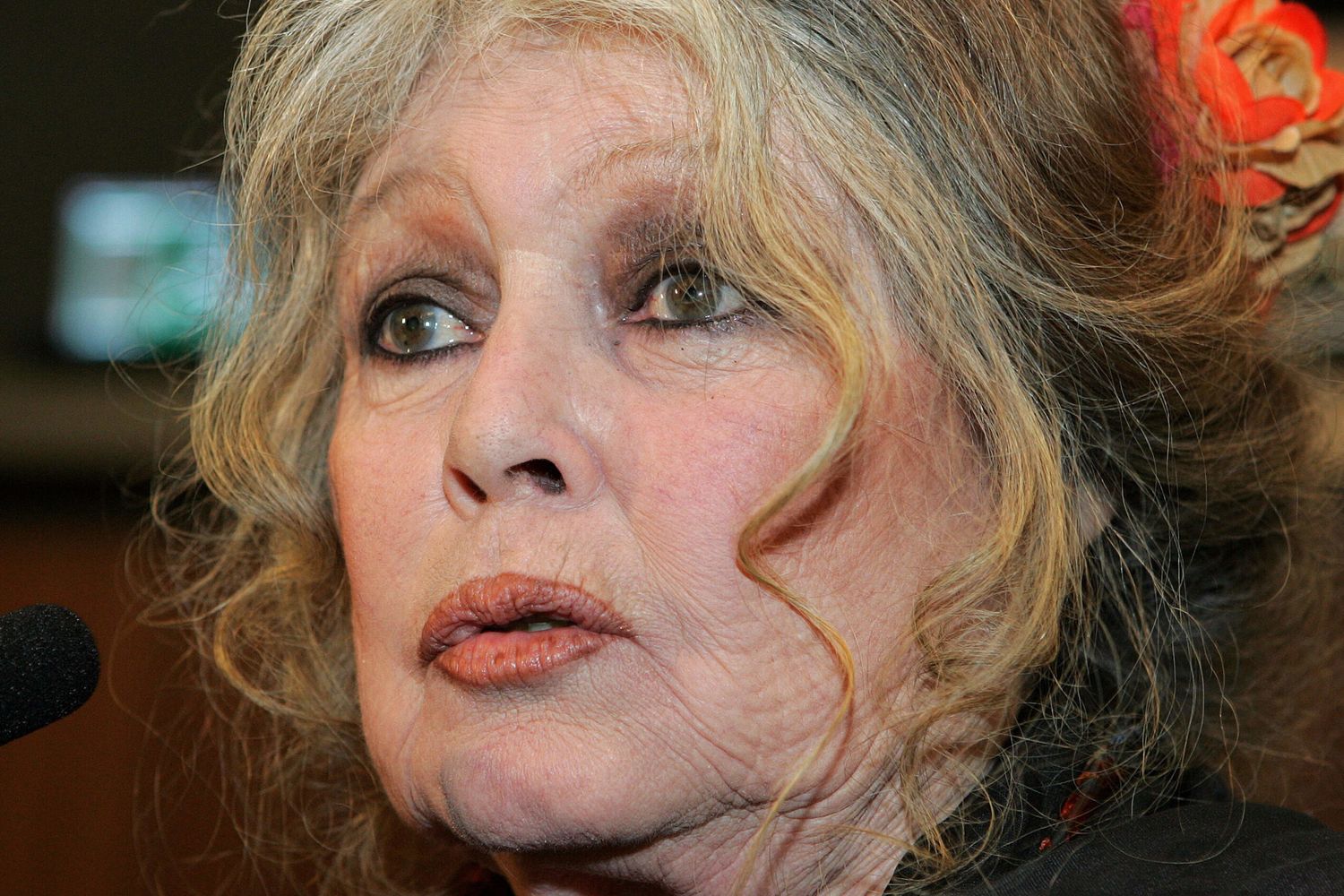 Brigitte Bardot (Afp)&nbsp;