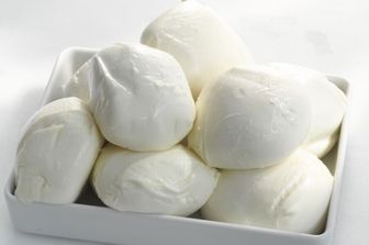Mozzarella - Made in Italy