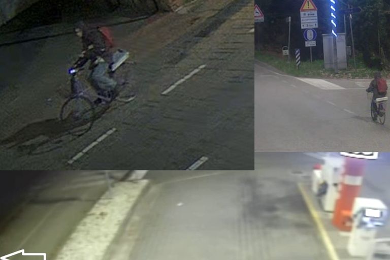 Scomparsa di Annabella Martinelli