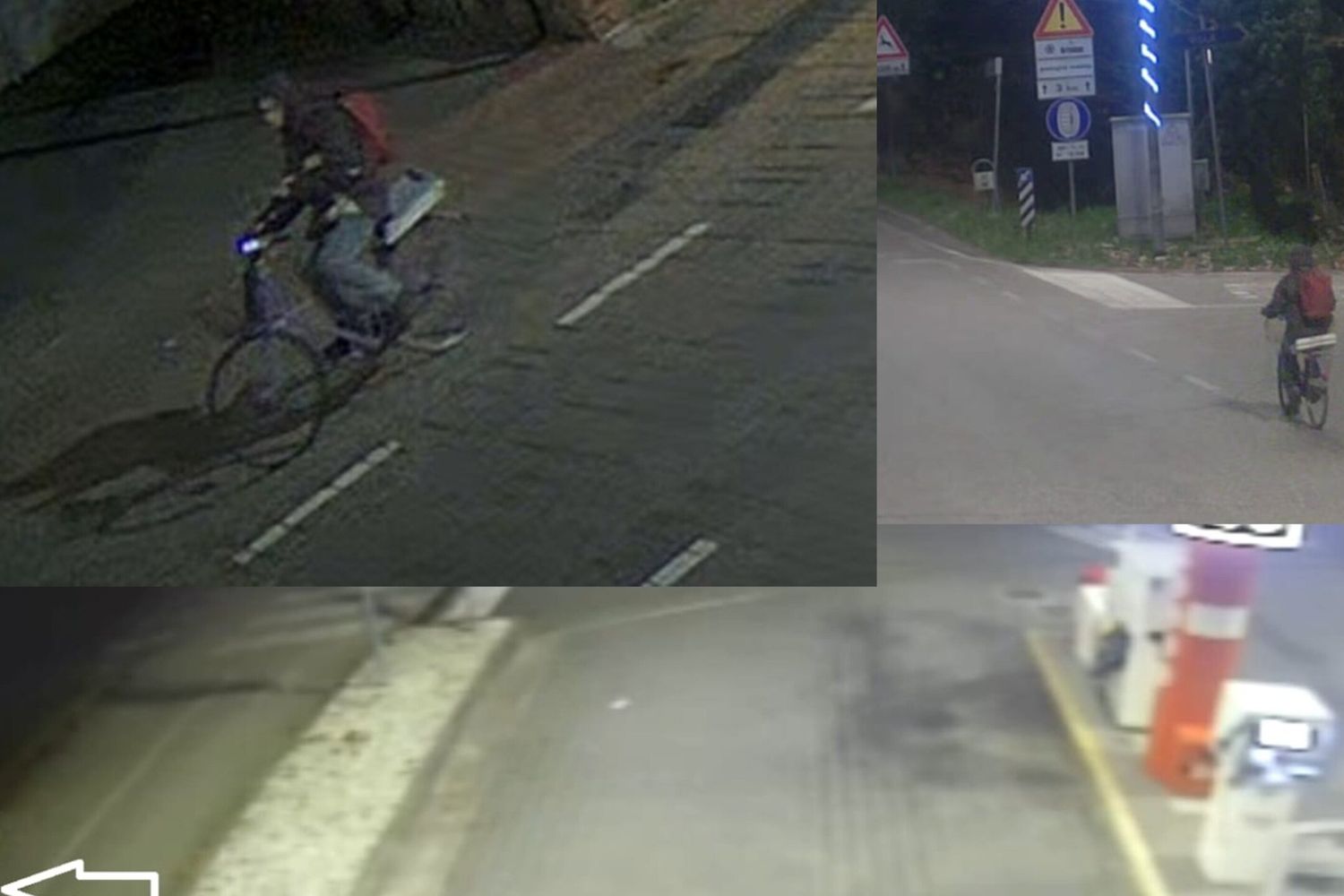 Scomparsa di Annabella Martinelli