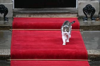 Il gatto Larry cammina su un tappeto rosso fuori dal numero 10 di Downing Street