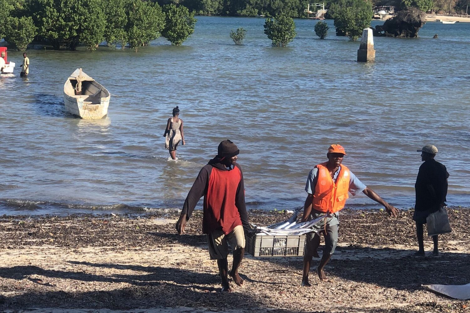 L'Italie et le Mozambique signent un mémorandum d'entente pour soutenir l'économie bleue