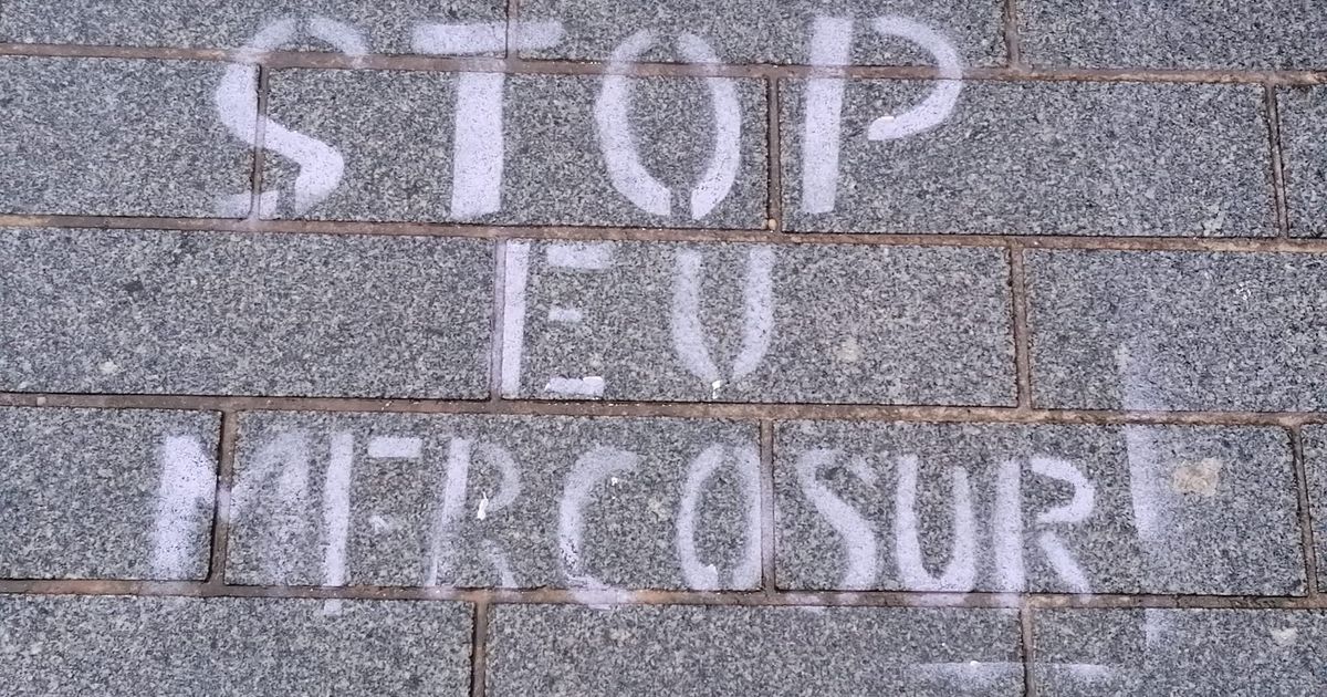 Mercosur, accordo bloccato. Il Parlamento Ue chiede un parere alla Corte di giustizia