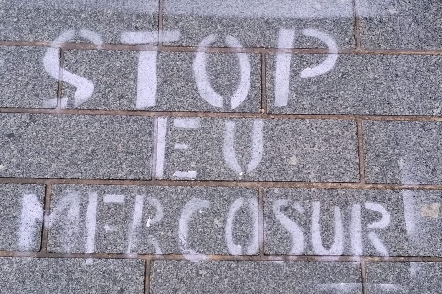 Mercosur, accordo bloccato. Il Parlamento Ue chiede un parere alla Corte di giustizia