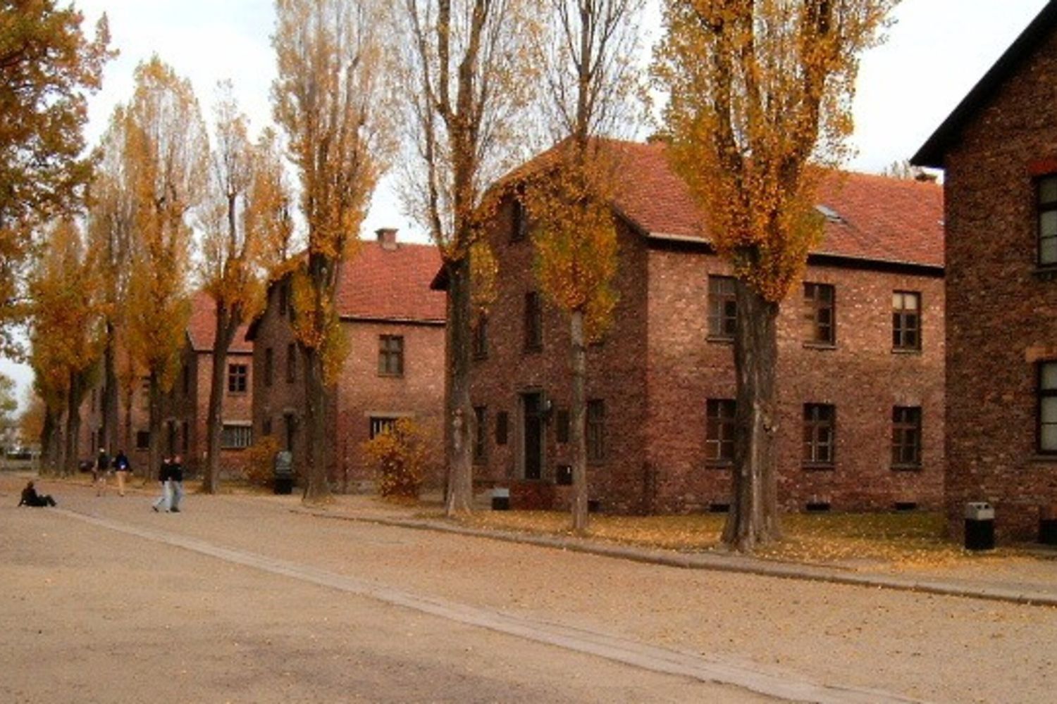 Non fu la liberazione di Auschwitz a rivelare gli orrori della Shoah