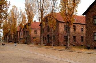 Non fu la liberazione di Auschwitz a rivelare gli orrori della Shoah
