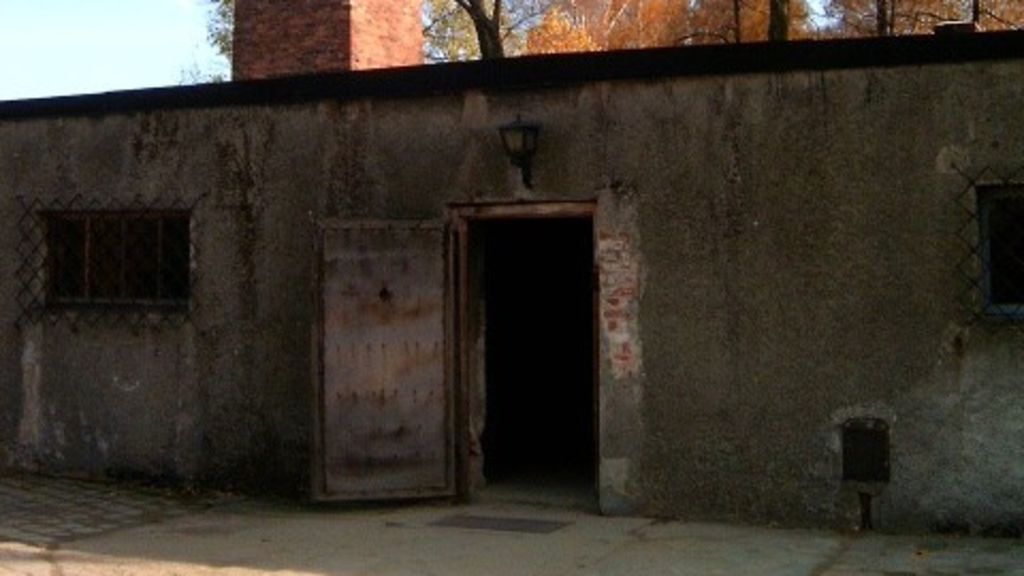 Non fu la liberazione di Auschwitz a rivelare gli orrori della Shoah