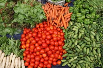 Dieta vegetale e EAT-Lancet: perchè ci guadagnano i reni