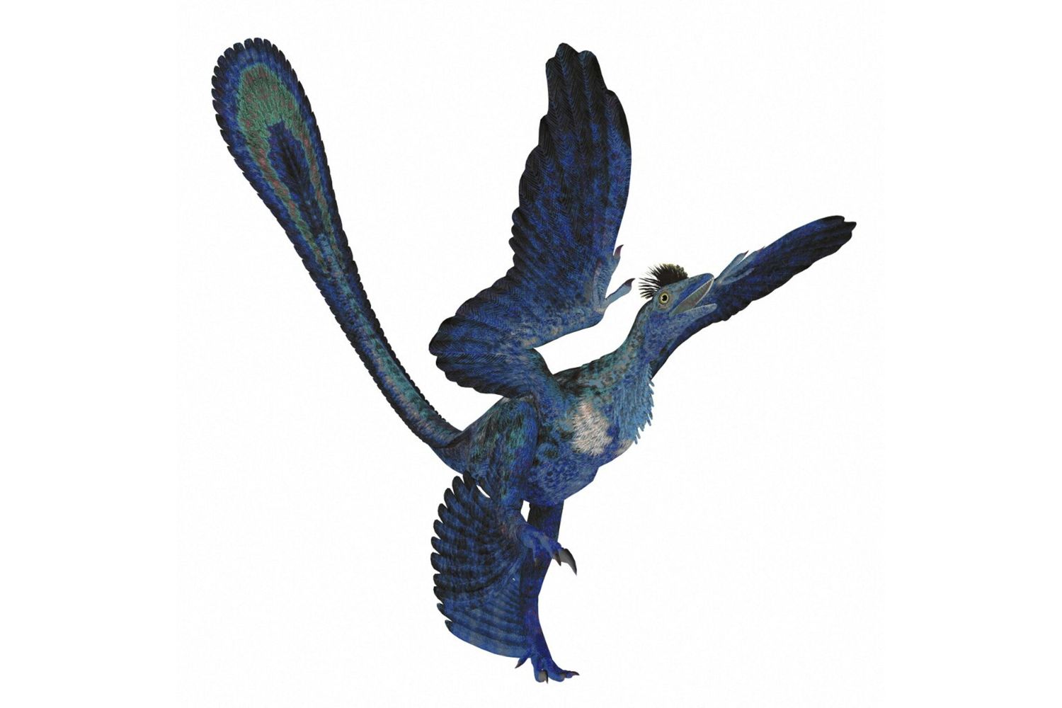 Microraptor