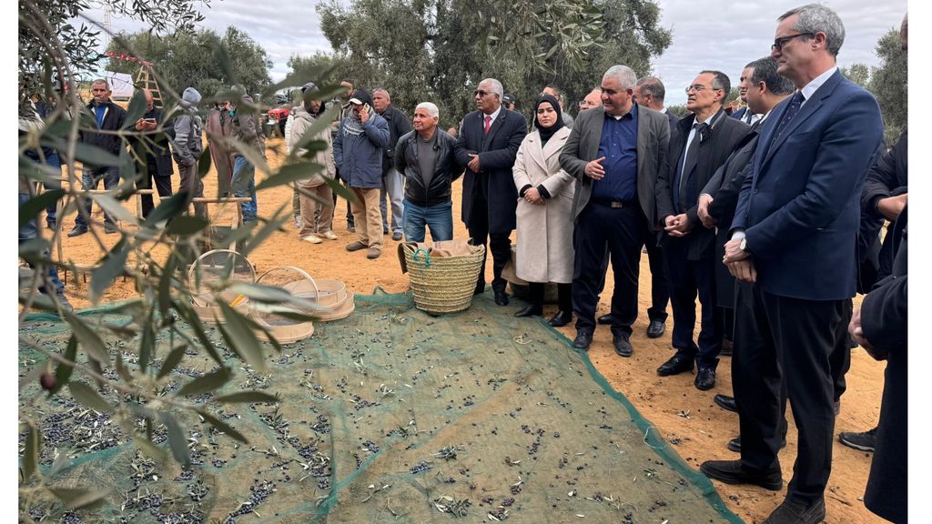 In Tunisia l'agricoltura si modernizza grazie al sostegno mirato dell'Italia