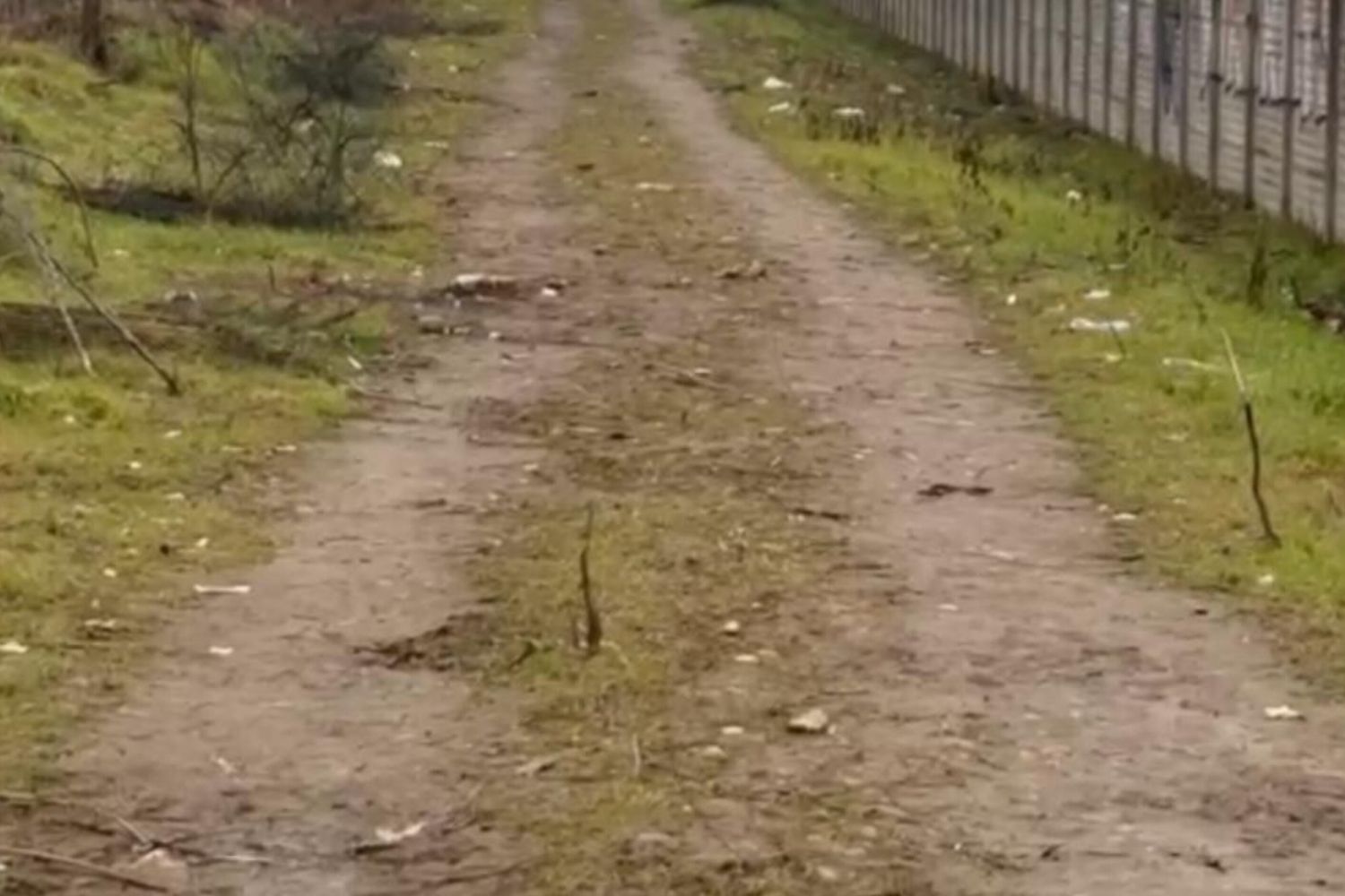 Sparatoria a Rogoredo, c'è telecamera vicina al luogo in cui è morto il 28enne