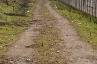 Sparatoria a Rogoredo, c'è telecamera vicina al luogo in cui è morto il 28enne