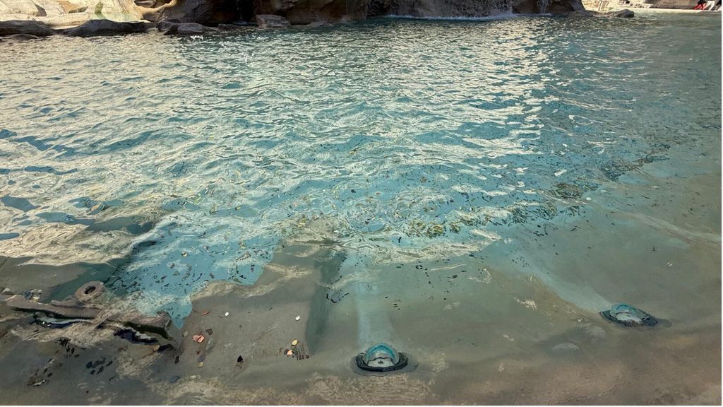 Vedere da vicino la Fontana di Trevi da oggi costa 2 euro