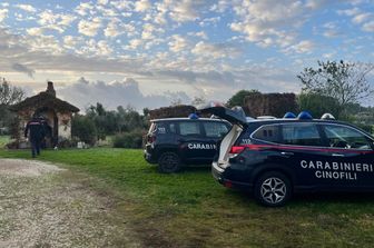 Carabinieri cinofili