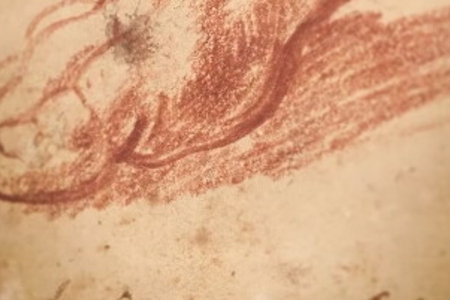 Bozza di Michelangelo