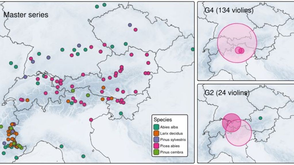 Origine dei legni utilizzati da Antonio Stradivari