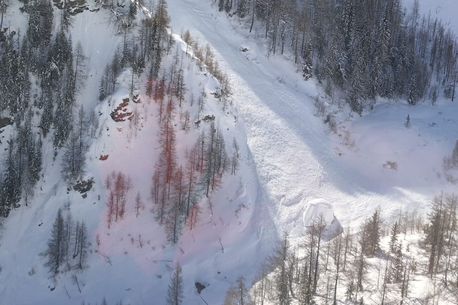 Valanga in Val Veny nei pressi di Courmayeur in Valle d'Aosta