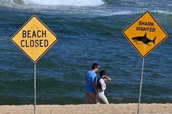 Spiaggia a nord di Sydney