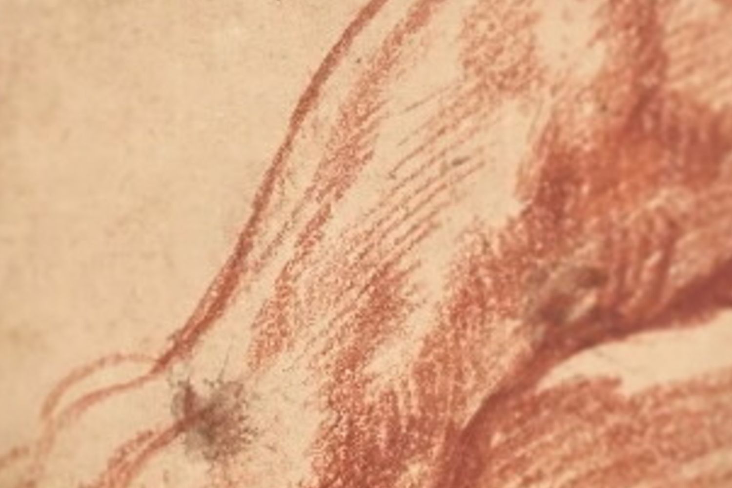 Bozza di Michelangelo