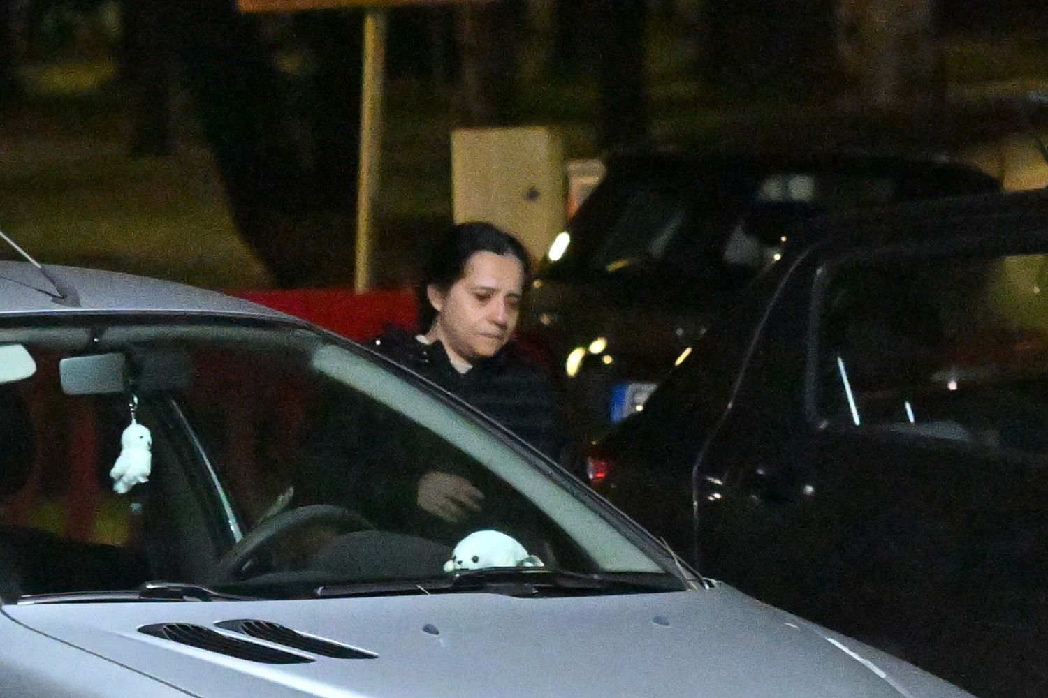 La mamma del piccolo Domenico