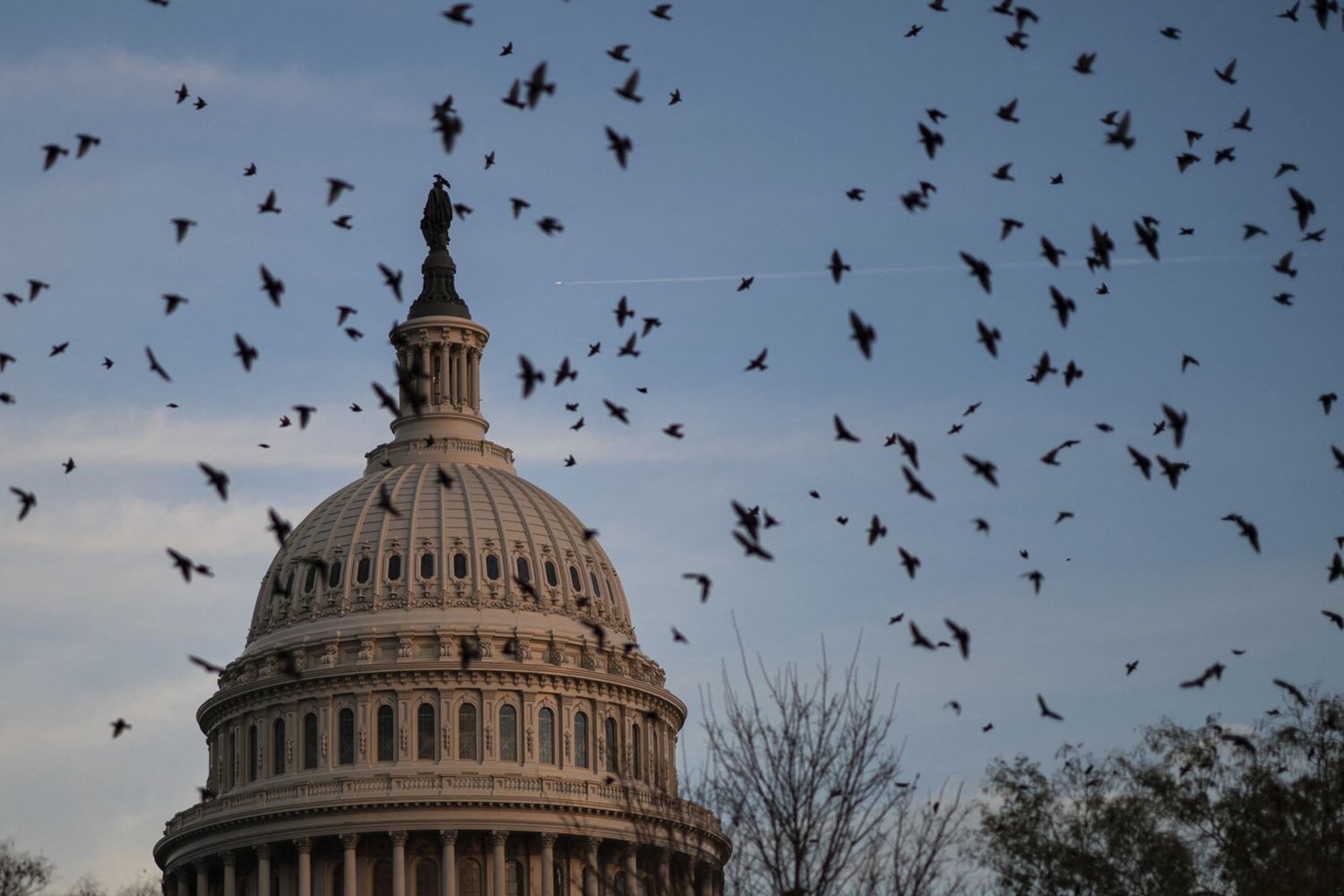 Congresso Stati Uniti
