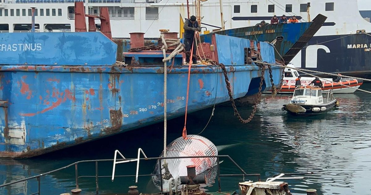 Trovata morta la balenottera che nuotava nel porto di Napoli