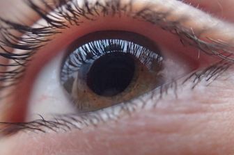 Un collirio batterico accelera la guarigione della cornea