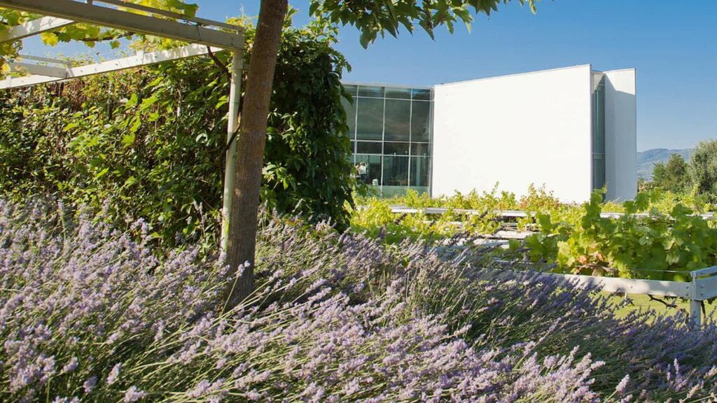 Valvigna Headquarters