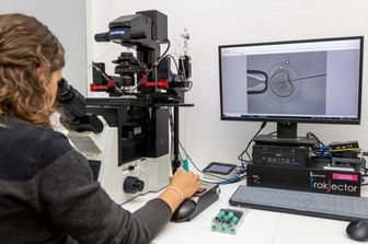 Inseminazione artificiale