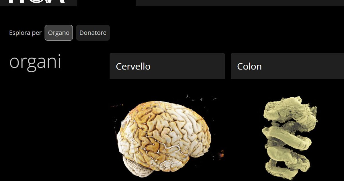 Nasce l’atlante digitale del corpo umano, organi esplorabili in 3D come Google Earth