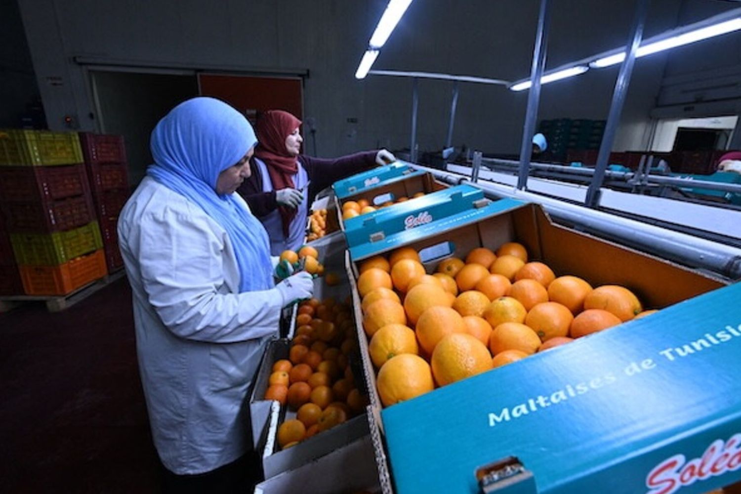 Italie–Tunisie : un commerce bilatéral qui dépasse le milliard d’euros au début de 2026