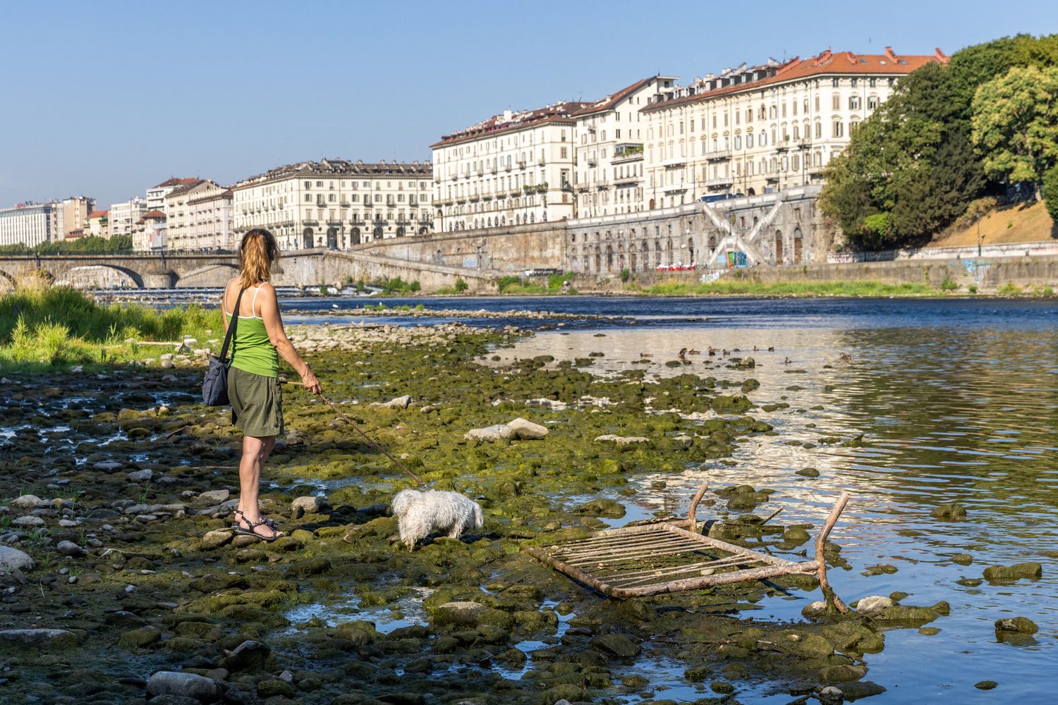 Il Po a Torino