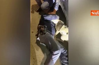 Cane incastrato sotto un'auto, il salvataggio della Polizia a Pescara