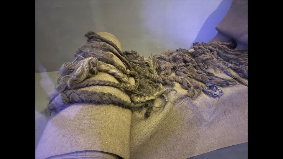 Trecce di capelli di deportati ad Auschwitz