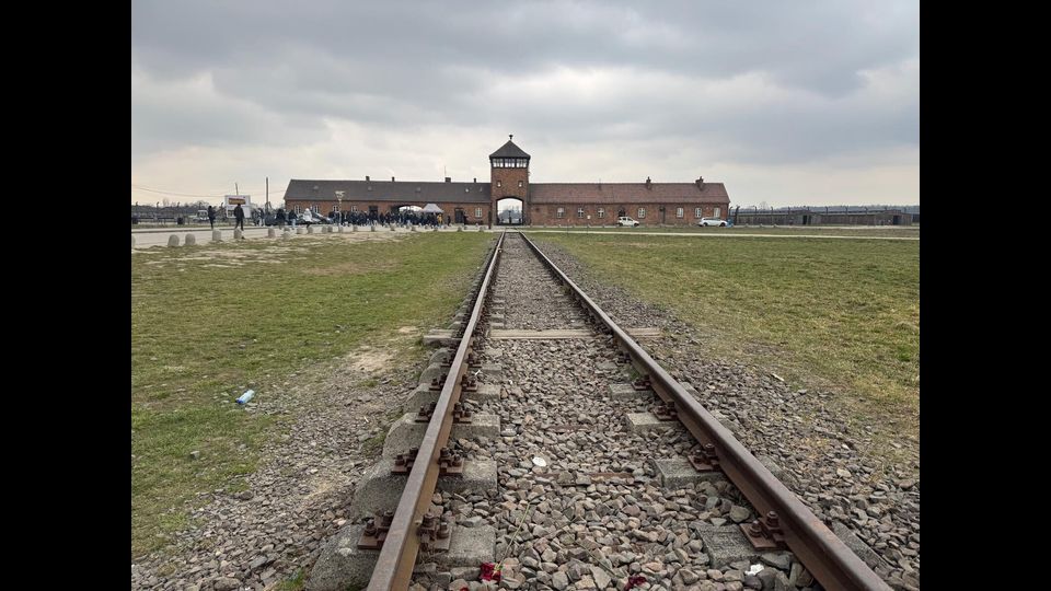 Birkenau