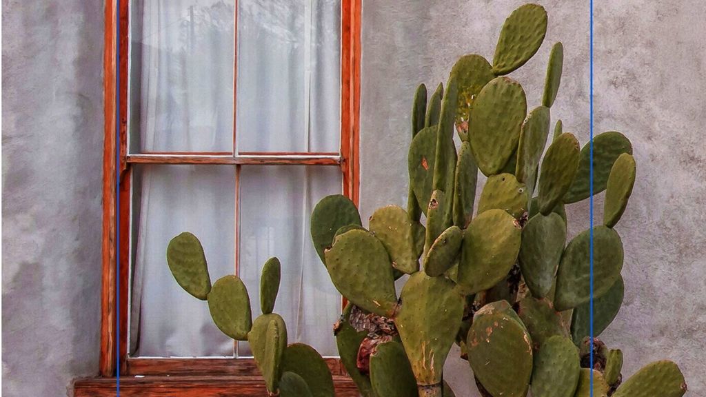 La copertina di Blu e Sale