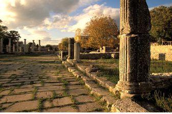 L'area archeologica dell'antica Saepinum (CB)
