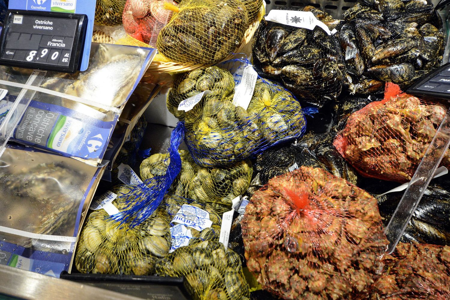 Molluschi in una pescheria di Napoli