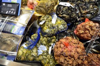 Molluschi in una pescheria di Napoli