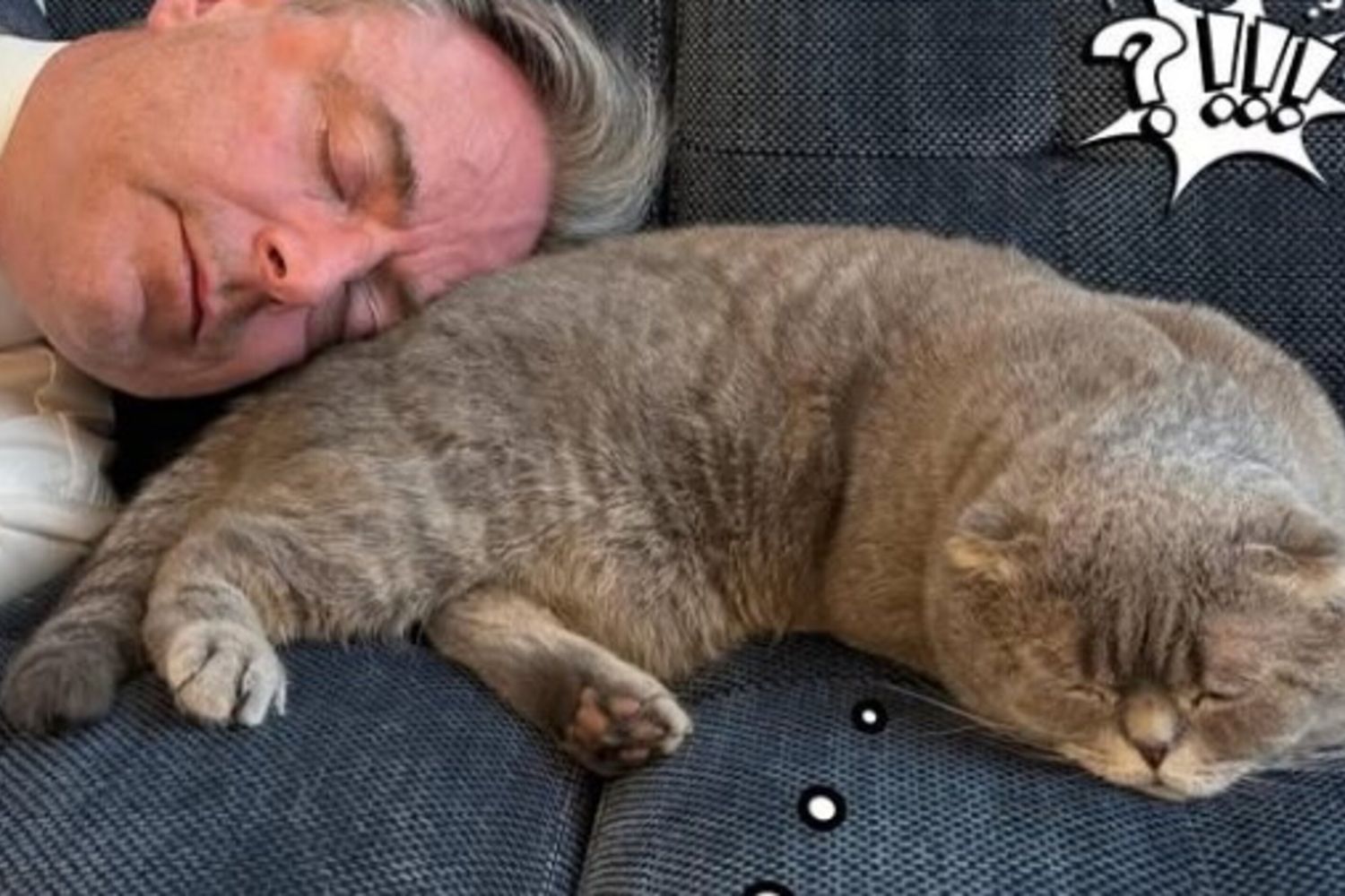 Il premier belga De Wever e il suo gatto Maximus