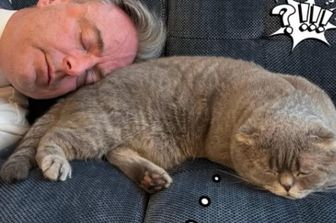 Il premier belga De Wever e il suo gatto Maximus