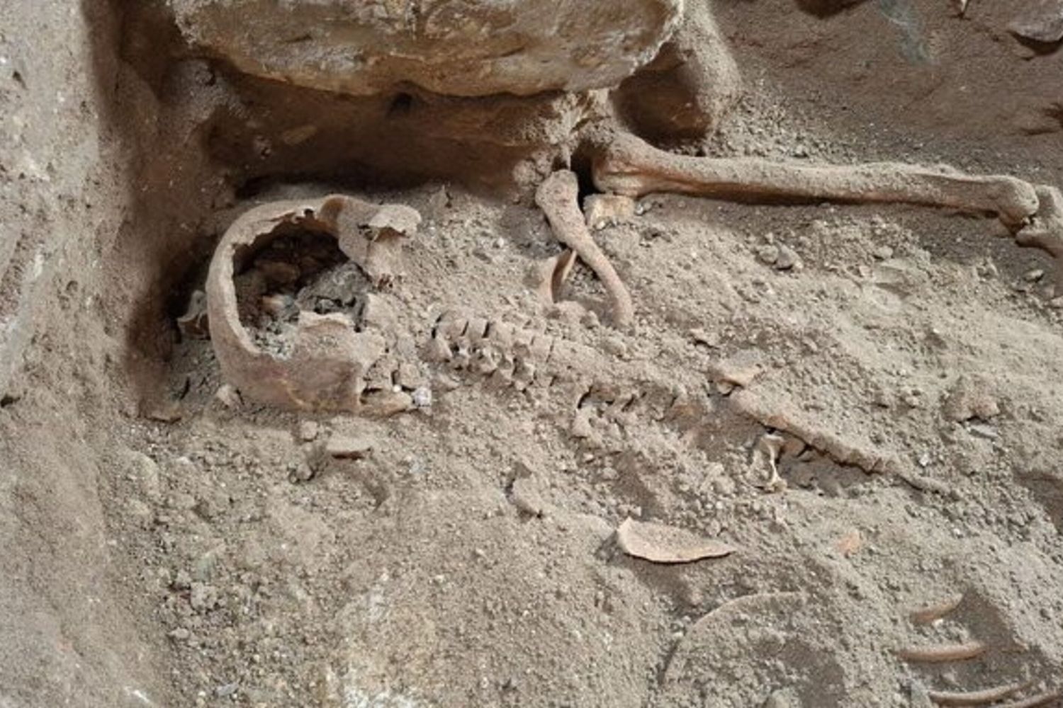 I resti rinvenuto in una chiesa di Maastricht che potrebbero appartenere a D'Artagnan