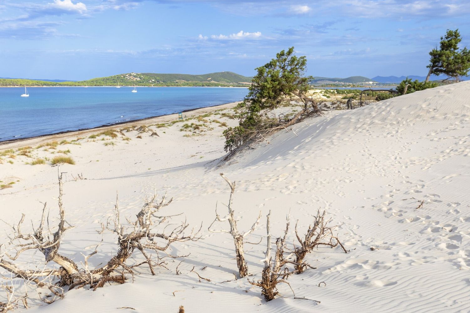 sabbia spiaggia sardegna mare vacanze