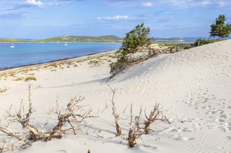 sabbia spiaggia sardegna mare vacanze